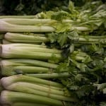 use up leftover celery