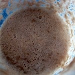 ripe sourdough starter