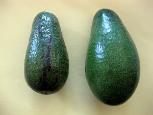 Ripe and Unripe Avocado