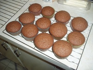 Sourdough Muffins