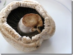 decaying-mushroom