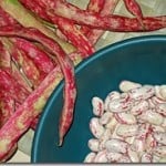 Complete Guide to Cooking Dried Beans from Scratch