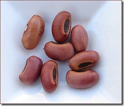 kidney-beans-2