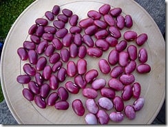 kidney-beans