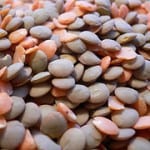 red and brown dried lentils
