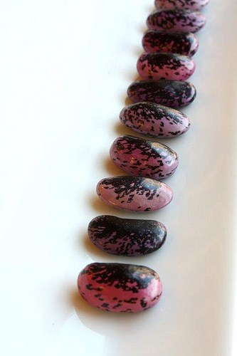speckled beans in a row