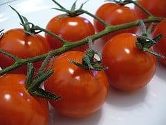 cherry tomatoes on the stem