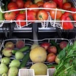 fresh produce loaded in dishwasher