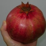 whole ripe pomegranate