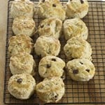 Scones from Kosher by Design by Suzie Fishbein