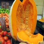 huge winter squash in market