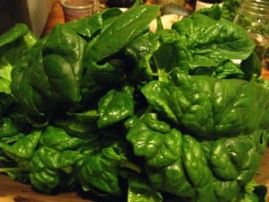 fresh spinach