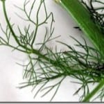 8 Great Ways to Cook Fennel