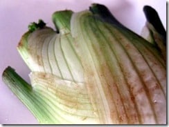 fennel bulb