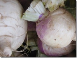 fresh turnips in the market