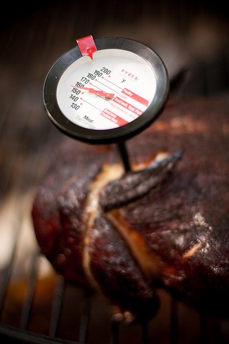 meat-thermometer for food safety