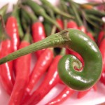 Spicy Green Schug with Chili Peppers and Coriander