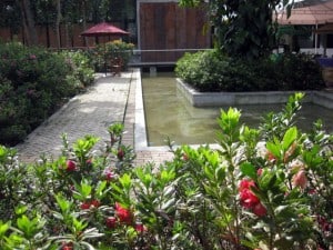 L-shaped pool in botanical garden