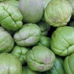 green round chayote squash