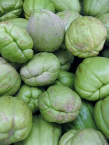 green round chayote squash