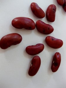 Infested kidney beans with small insect holes in peel