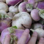 raw turnips in open air market