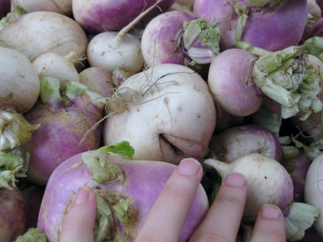 raw turnips in open air market