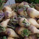 Recipe: Unstuffed Rutabagas or Turnips