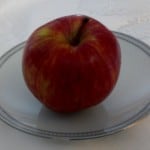 apple on china plate