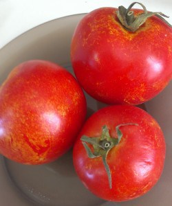 three ripe fresh tomatoes with yellow speckles