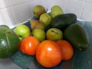 avocado, pears, tomatoes on tray on counter